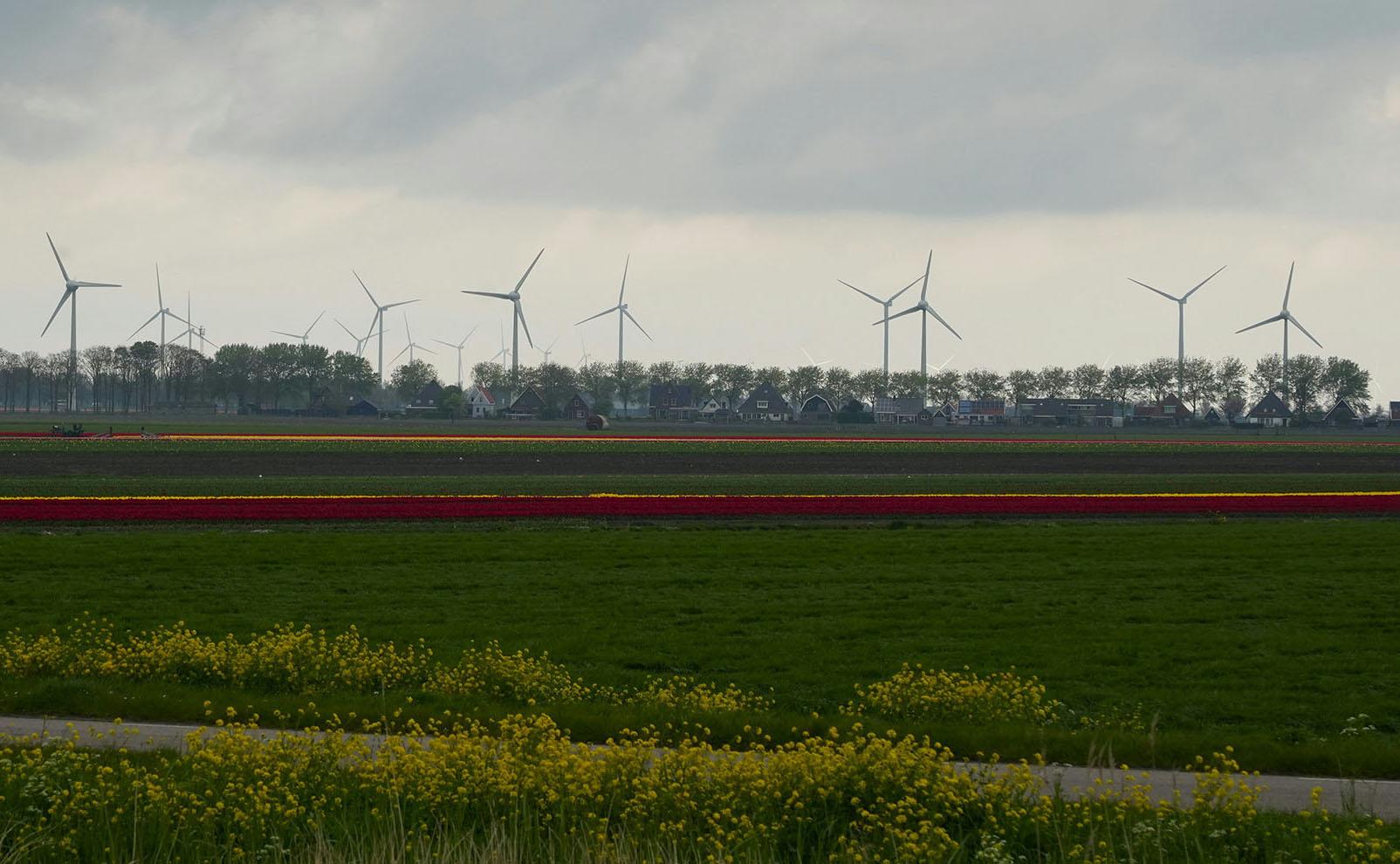 Zalety elektrowni wiatrowej – dlaczego warto inwestować w energię wiatru?