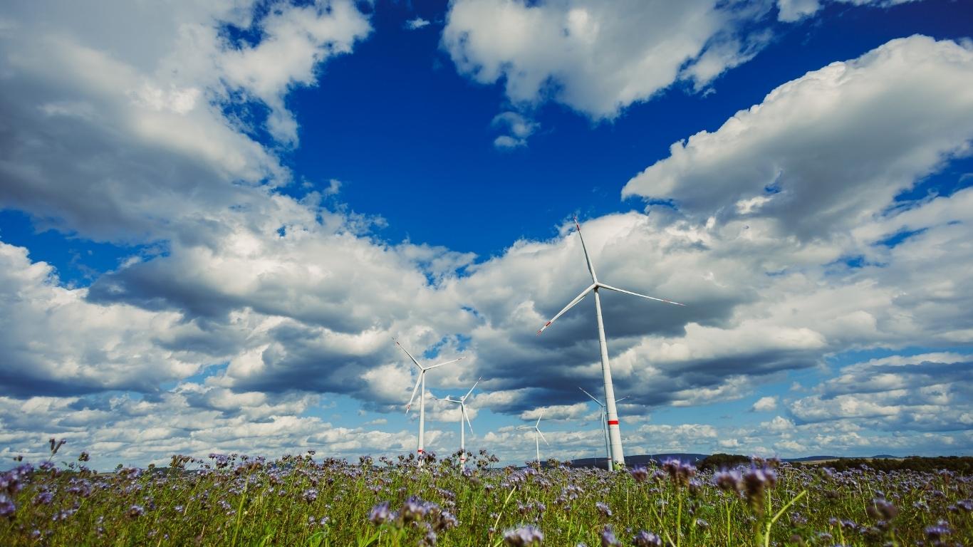 OZE w polskim rolnictwie – transformacja, która już trwa